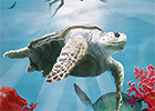 Illustration beleuchtetes Deckenbild